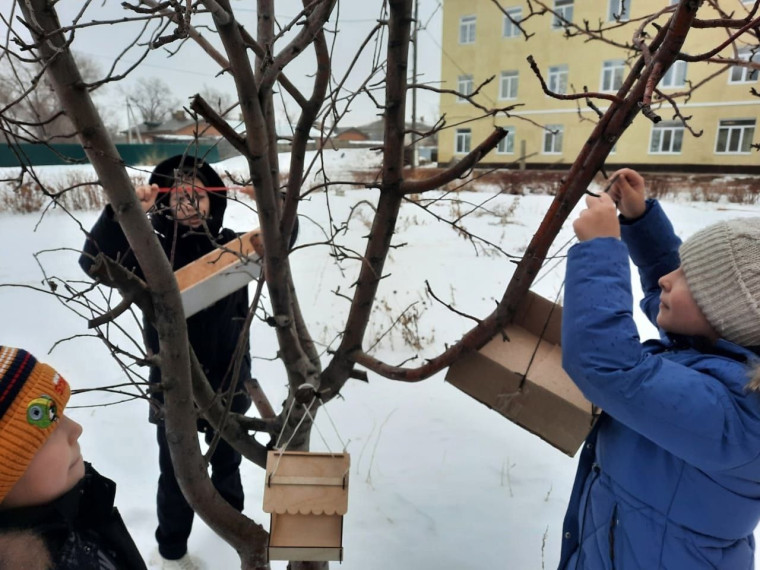 Акция "Покорми птиц зимой".